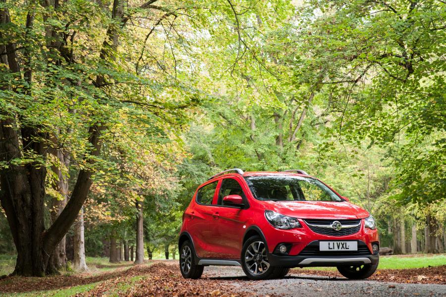  Vauxhall Viva Rocks 2017 года  (фото 25 из 32)